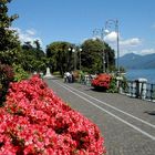 Verbania/Intra, Lago Maggiore, Italien