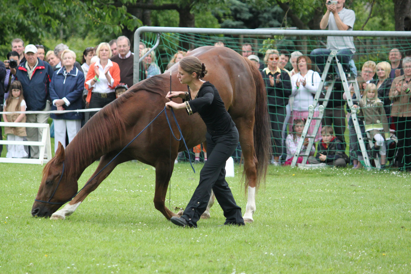 Verbeugung