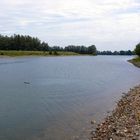 Verbindung Rhein-Yachthafen in Rees