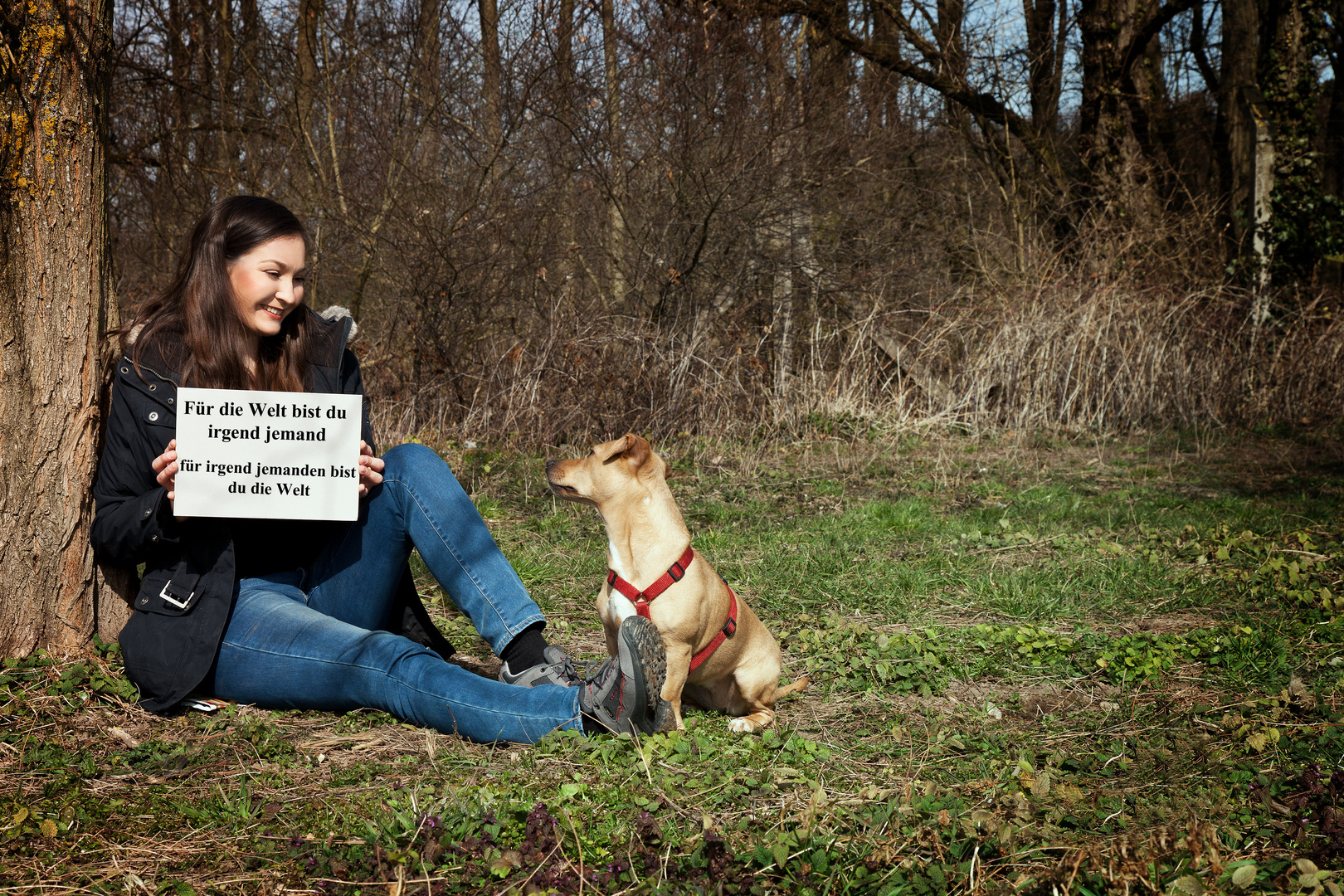 Verbindung zwischen Mensch und Hund