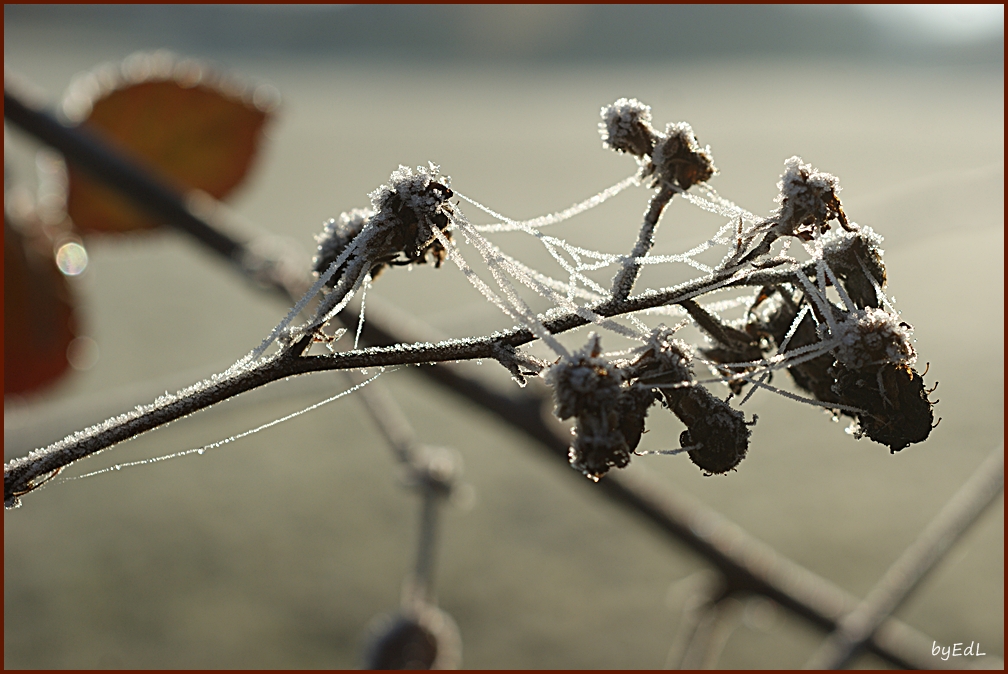 Verbindungen  / Connection