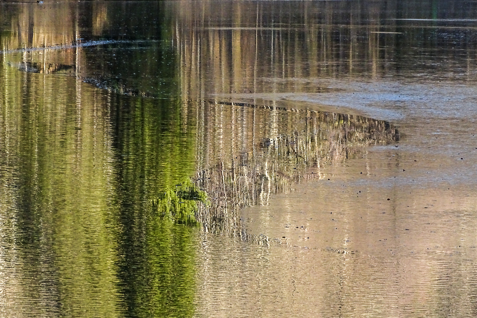 verbirgt sich da ein See-Ungeheuer unter der Wasseroberfläche?