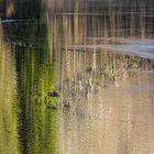 verbirgt sich da ein See-Ungeheuer unter der Wasseroberfläche?