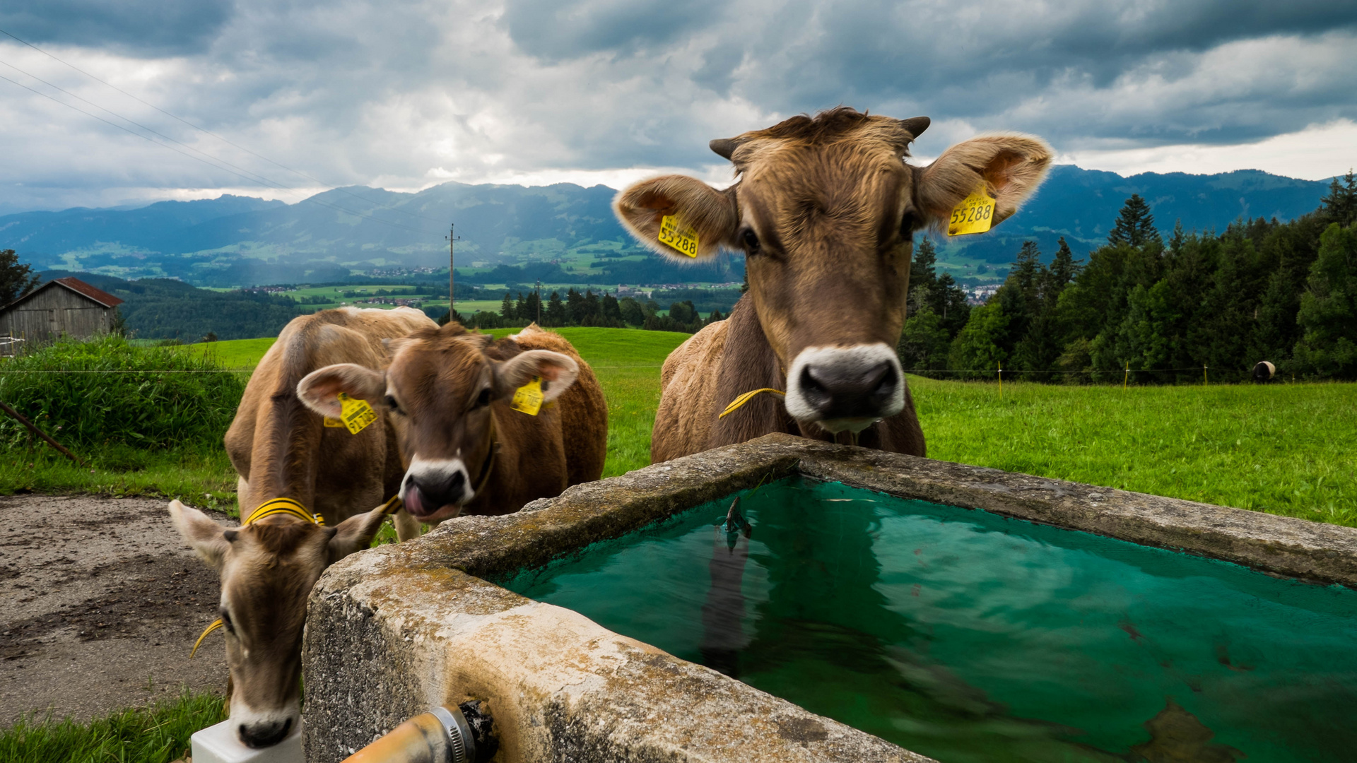 verblüffter Blick