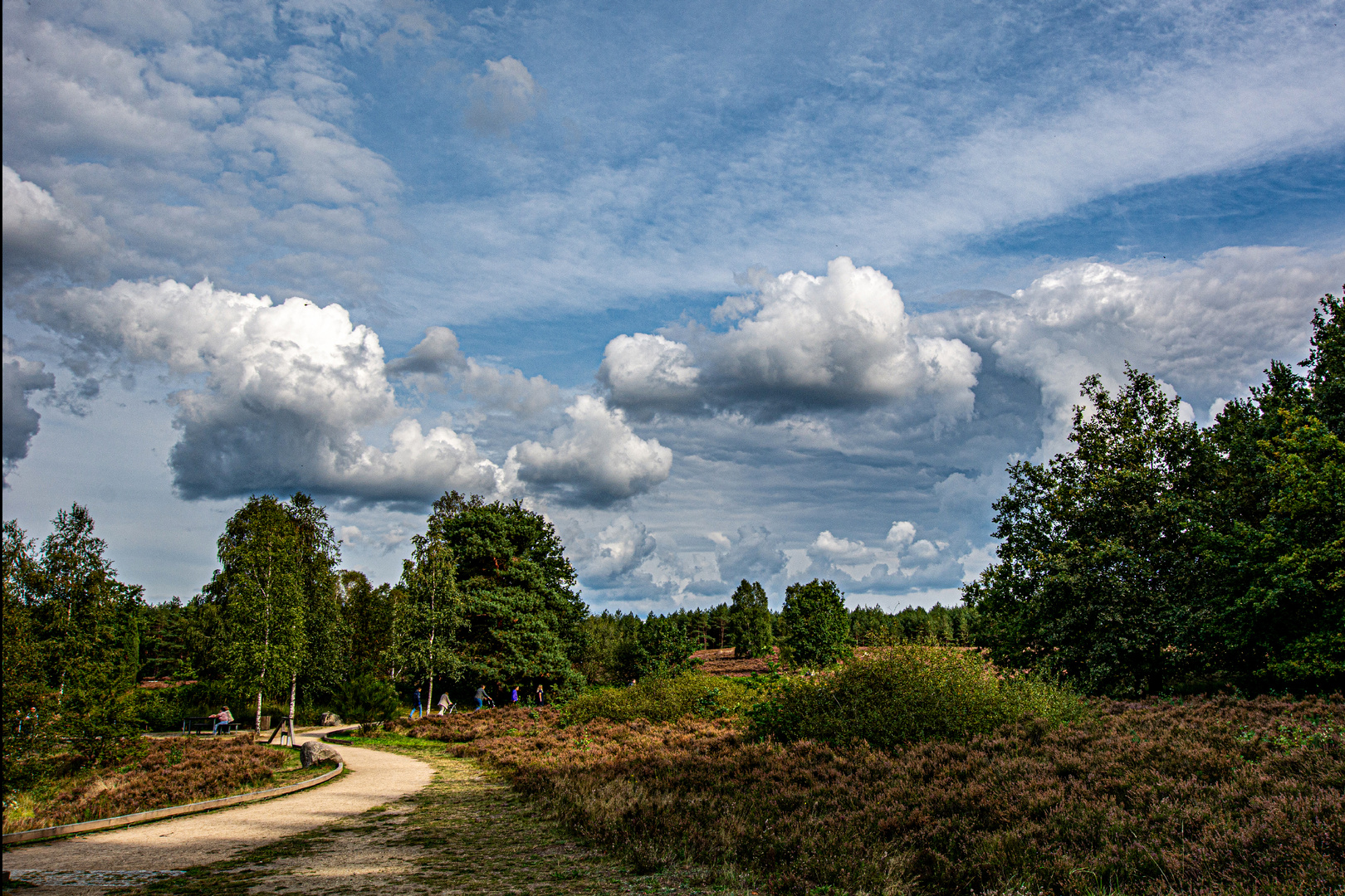 Verblühte Heide