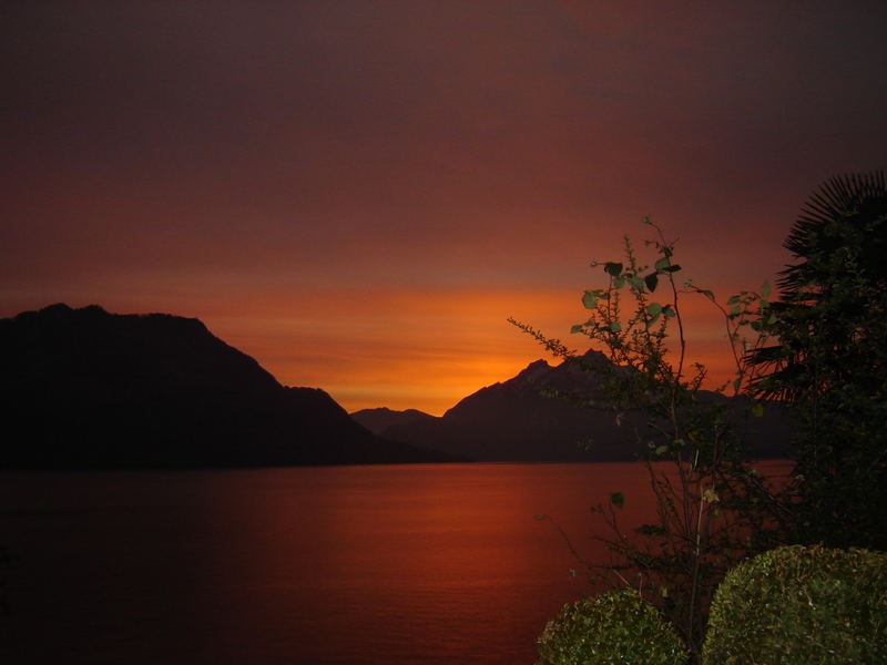 Verblühte Rosen im Spätherbst vor trivialem Sonnenuntergang