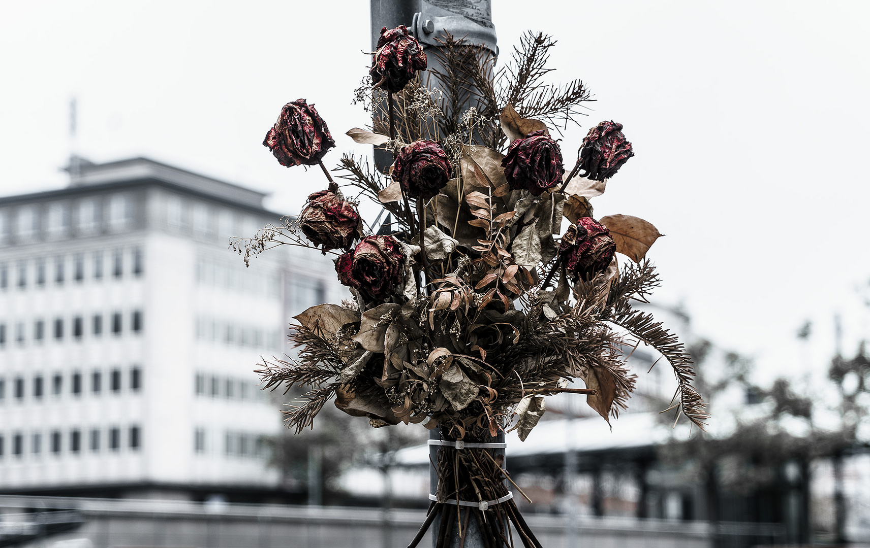 verblüte Liebeserklärung in der Stadt