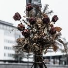 verblüte Liebeserklärung in der Stadt