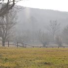 Verborgen im Nebel