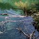 Verborgen im tiefen klaren Wasser