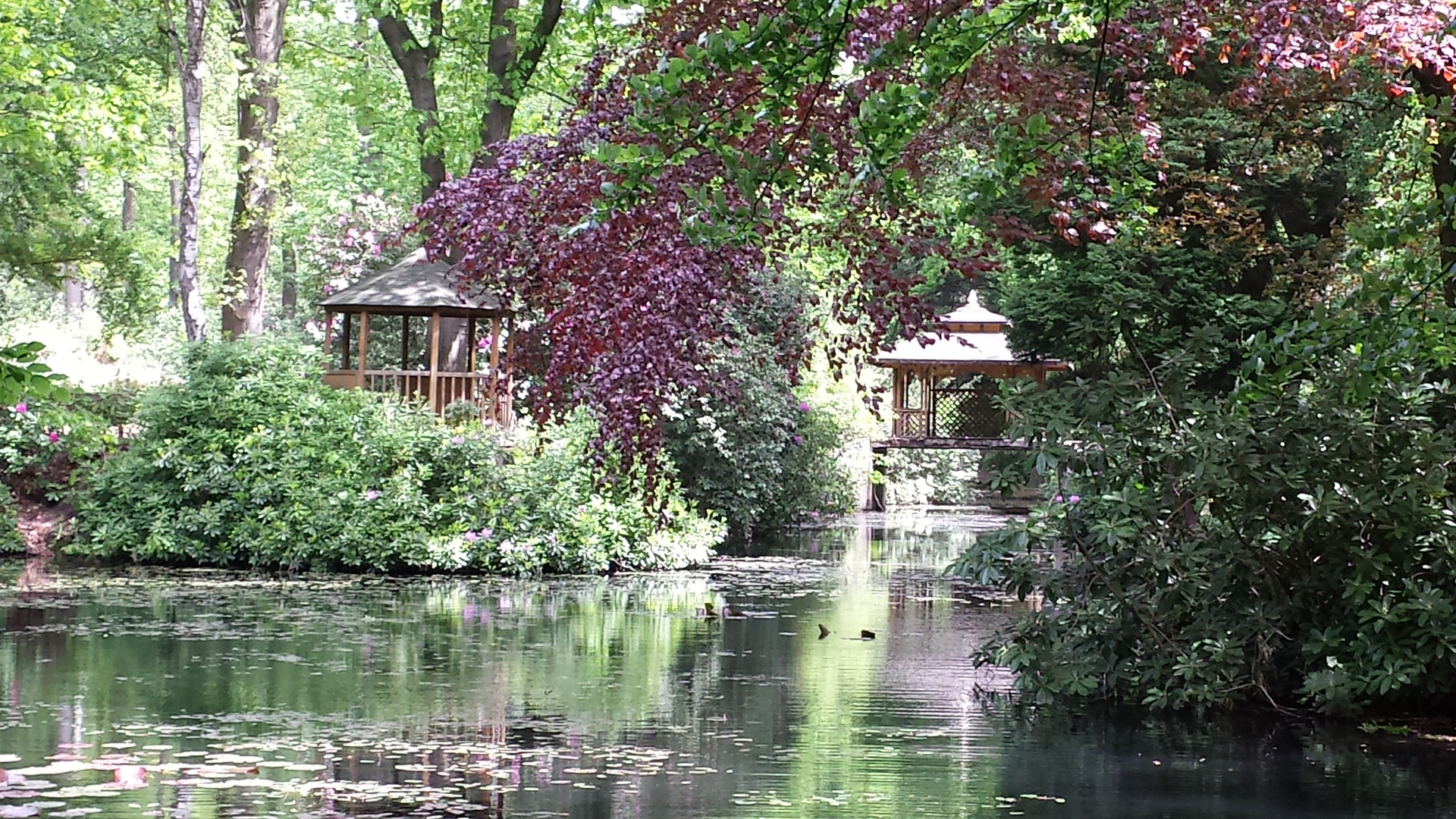 Verborgen im Wald