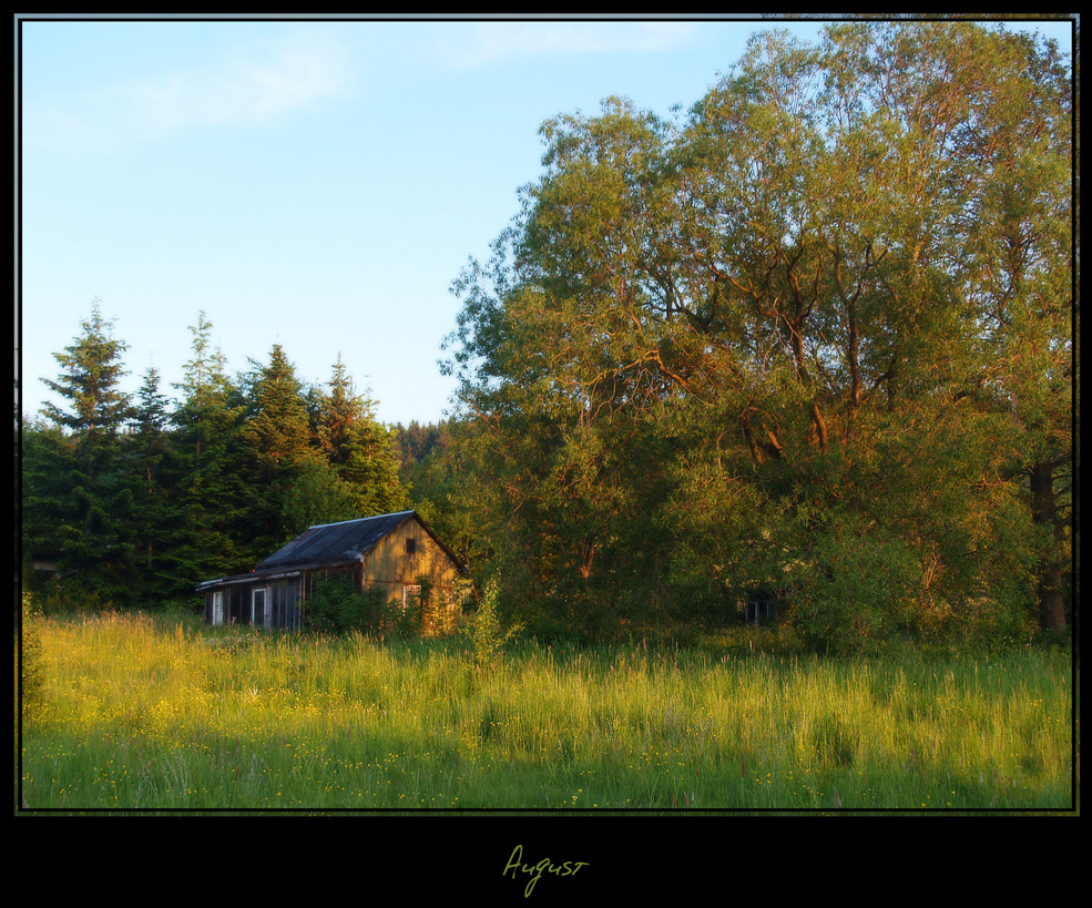 Verborgen in der Abendsonne