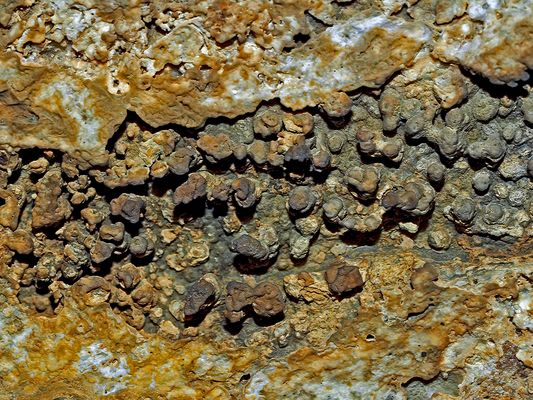 Verborgenes, hartes und sprödes Ablagerungsgestein in den Bergen. - Une décoration sous un rocher.