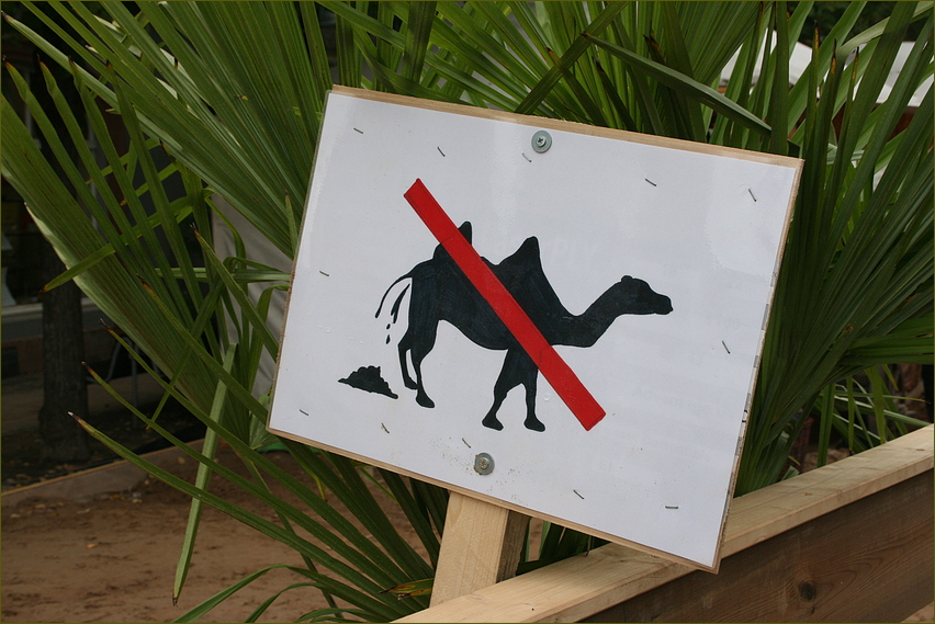Verbot für Kamele ?? !!