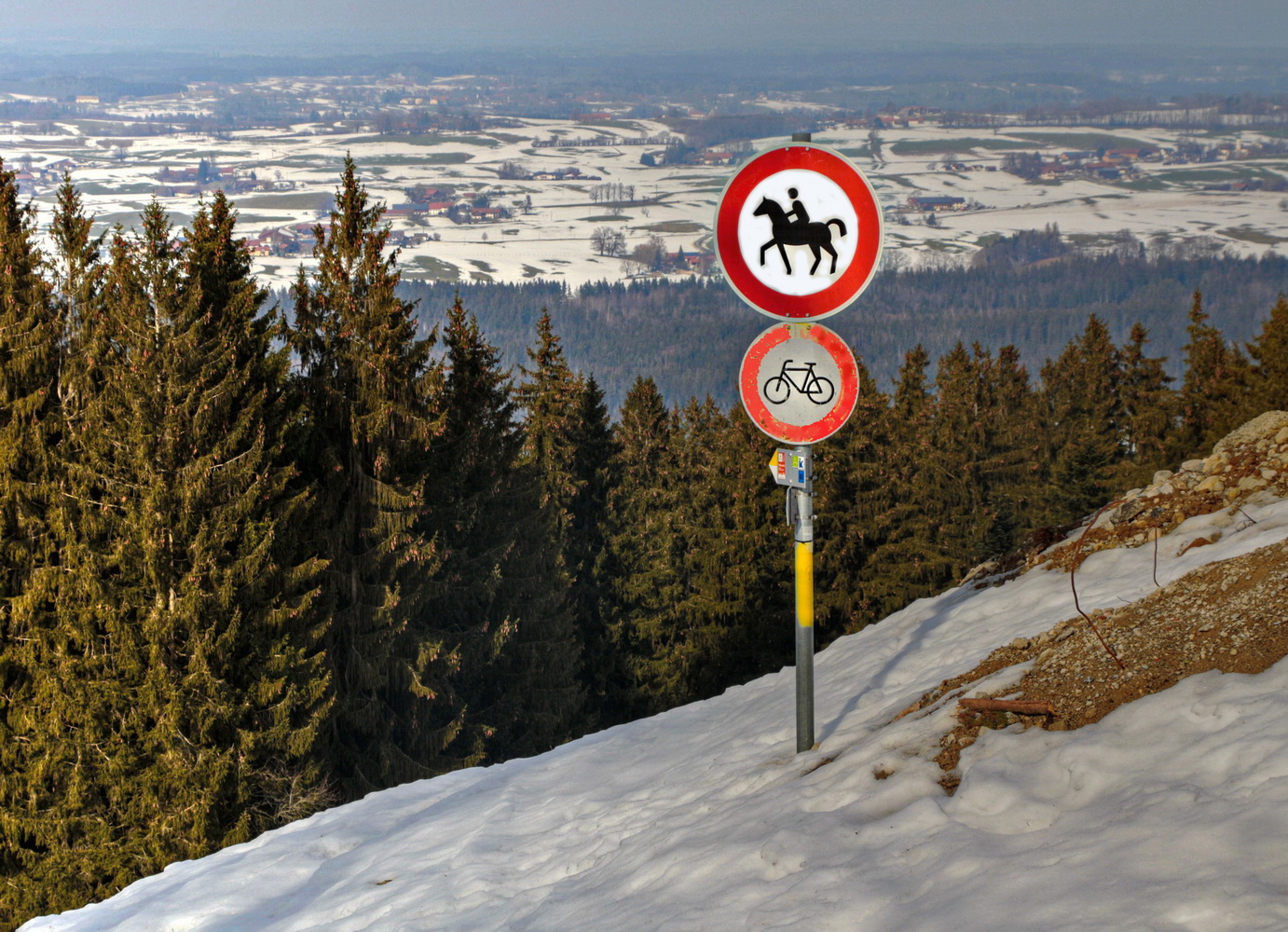 VERBOT: Pferd mit Reiter / Fahrrad ohne Radler !