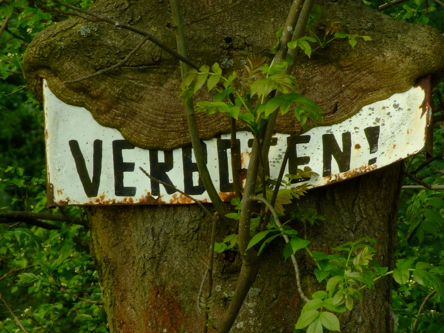 VERBOTEN? NIX DA!!!