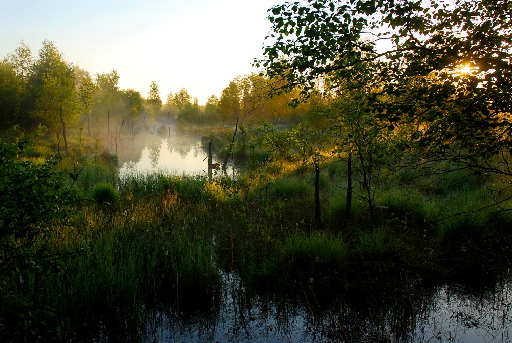 verbotenes Land