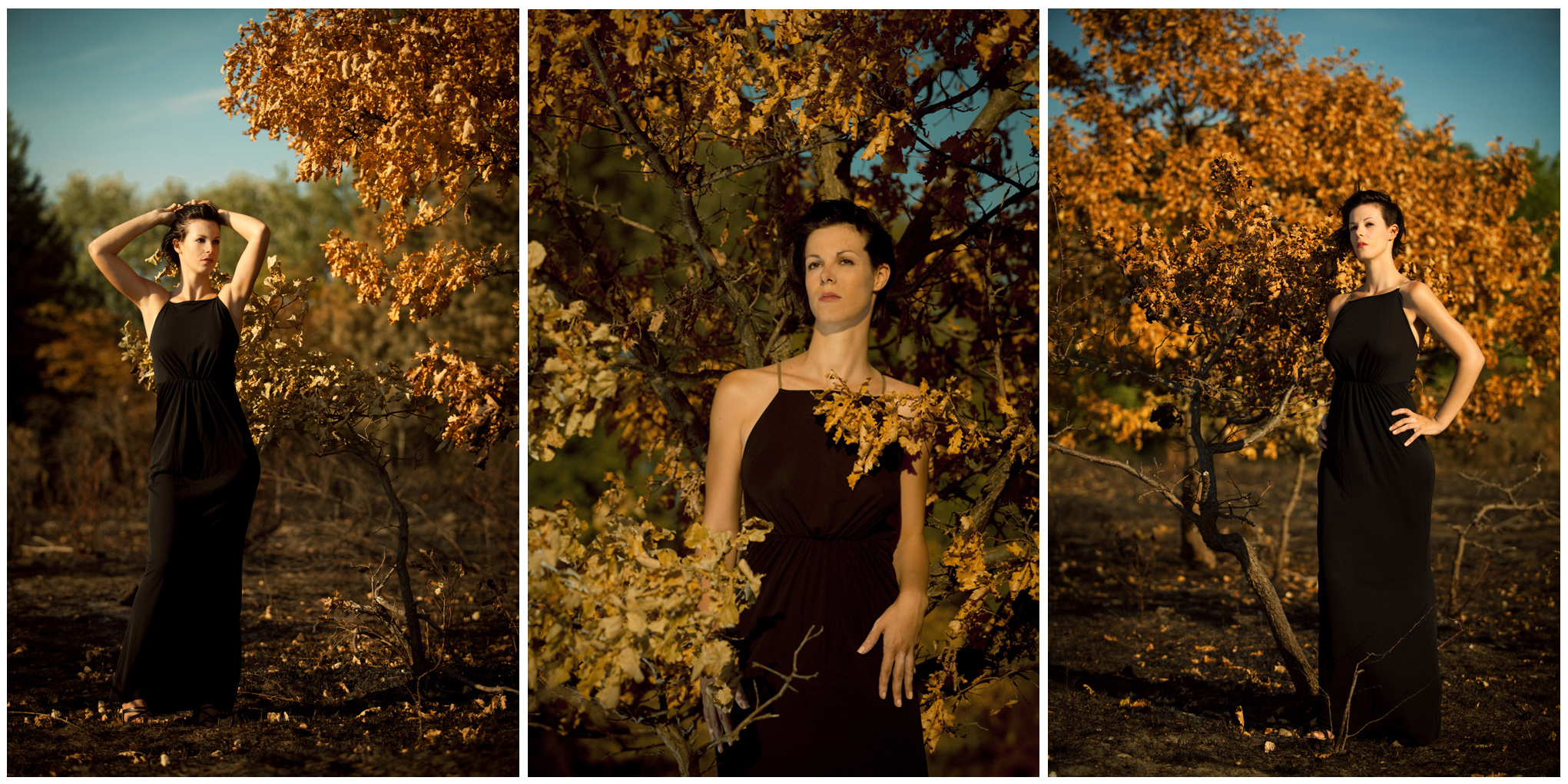 Verbrannte Erde Foto & Bild archiv kritik am bild, kritik am bild