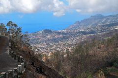 Verbrannter Wald oberhalb von Funchal