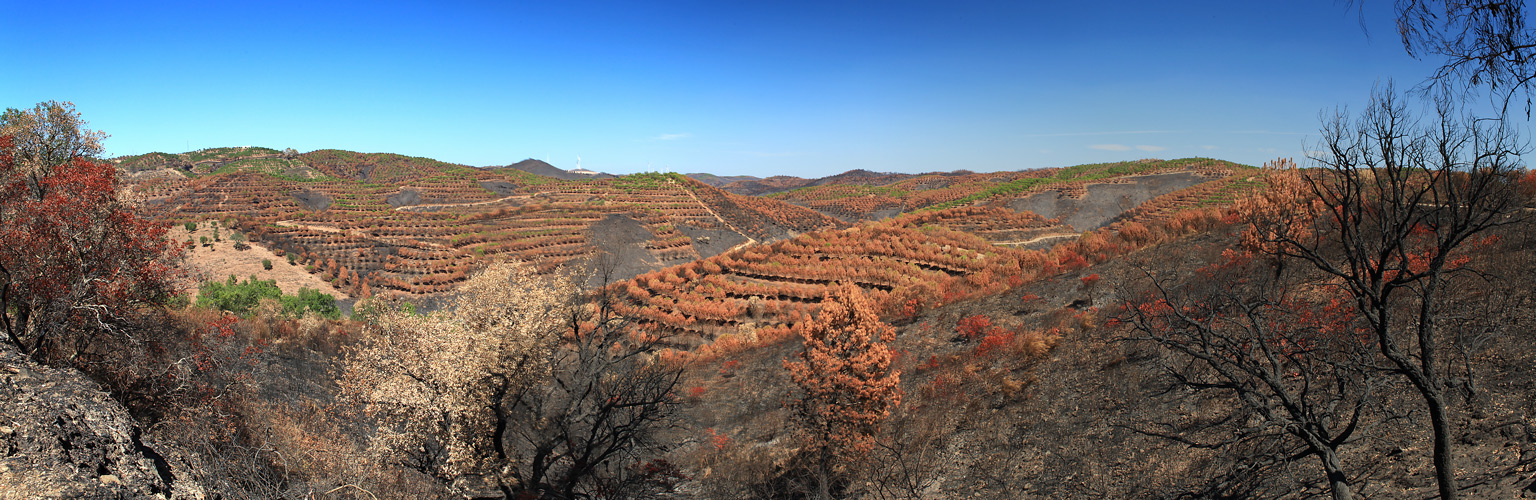 Verbranntes Land