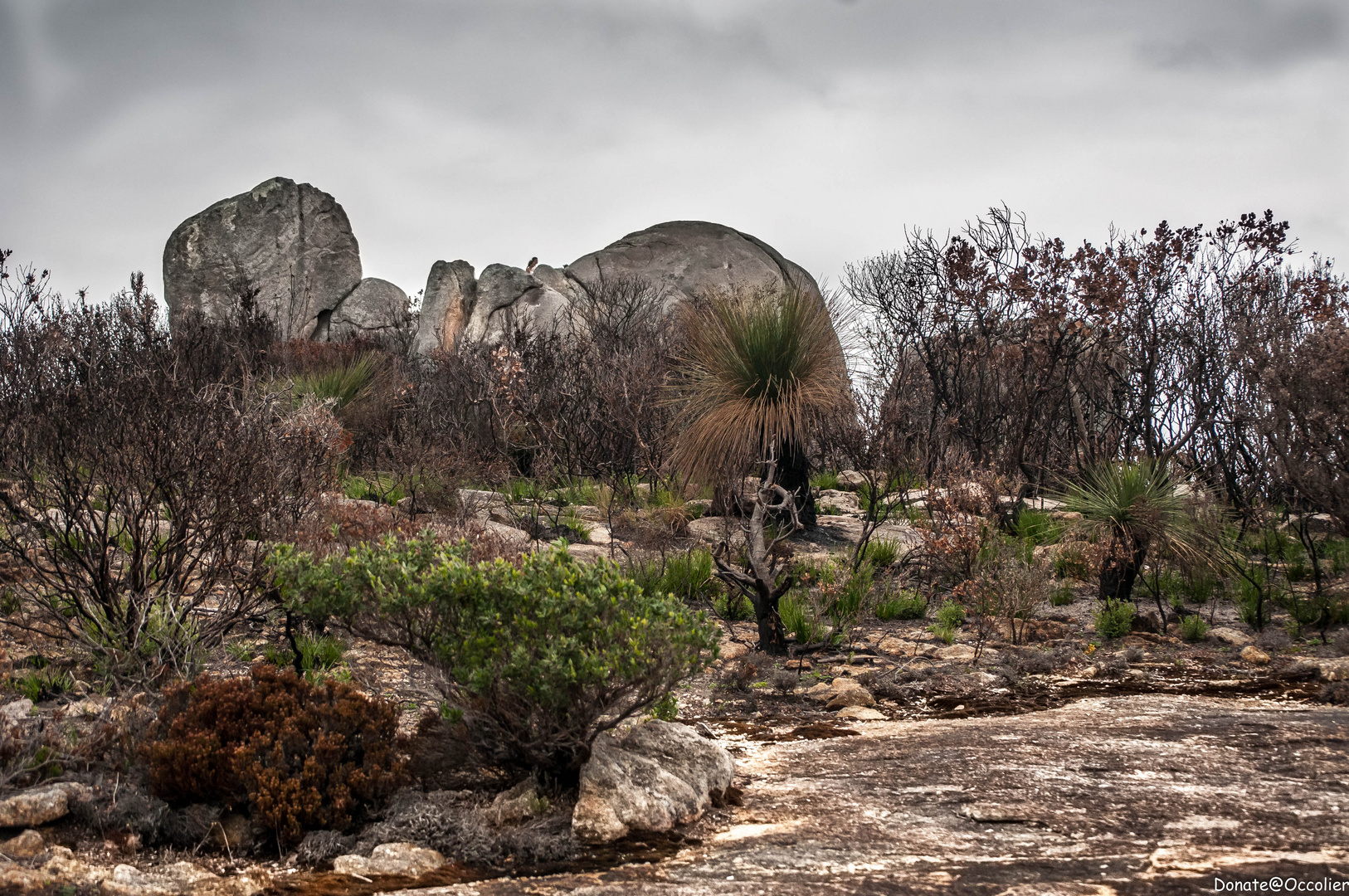 verbrantes Land 