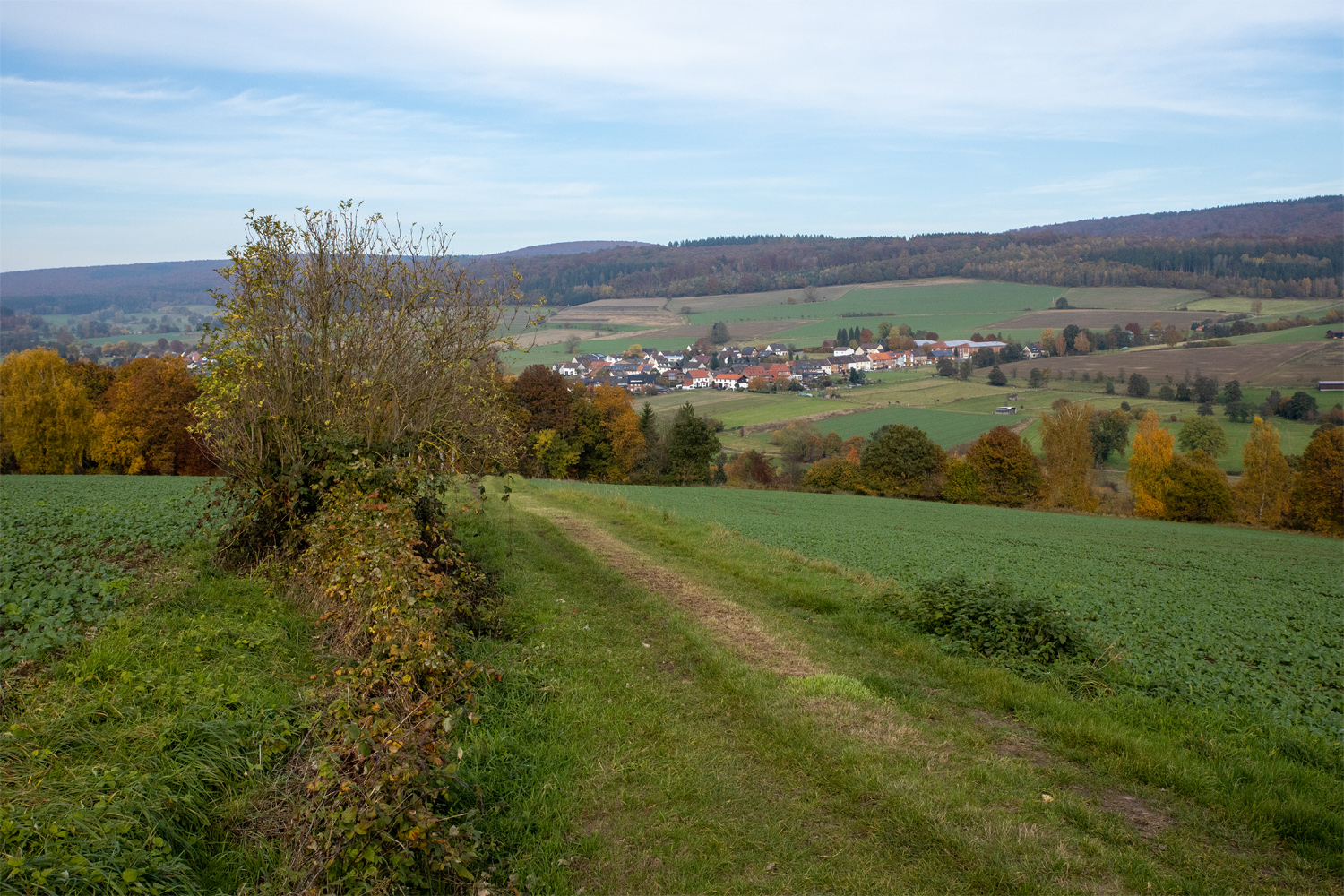 Verbundenheit