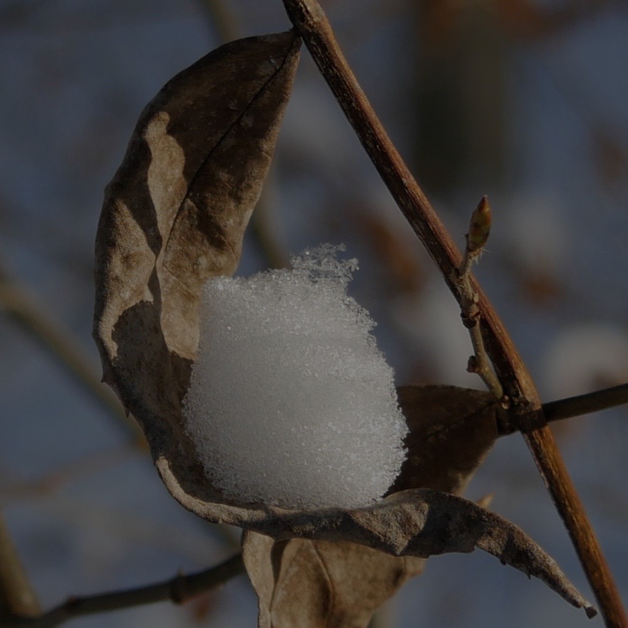 Verbundenheit