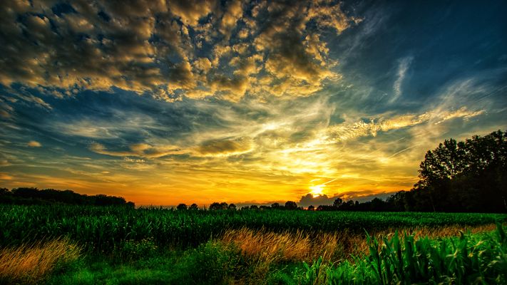 .... Verbundenheit mit der Natur....