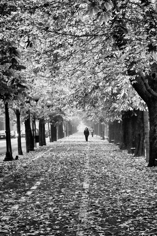 Vercelli, autunno