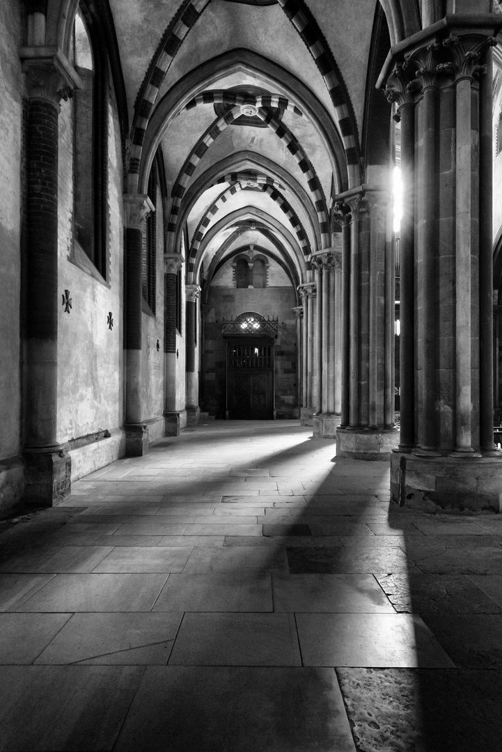 Vercelli Basilica di S. Andrea