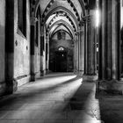 Vercelli Basilica di S. Andrea