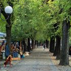 Vercelli, Corso Garibaldi, mercatino