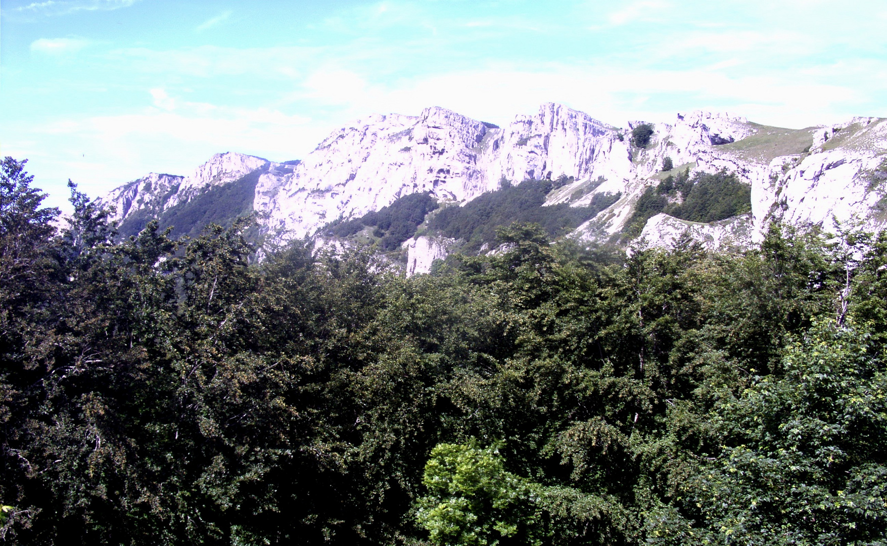 Vercors (1)