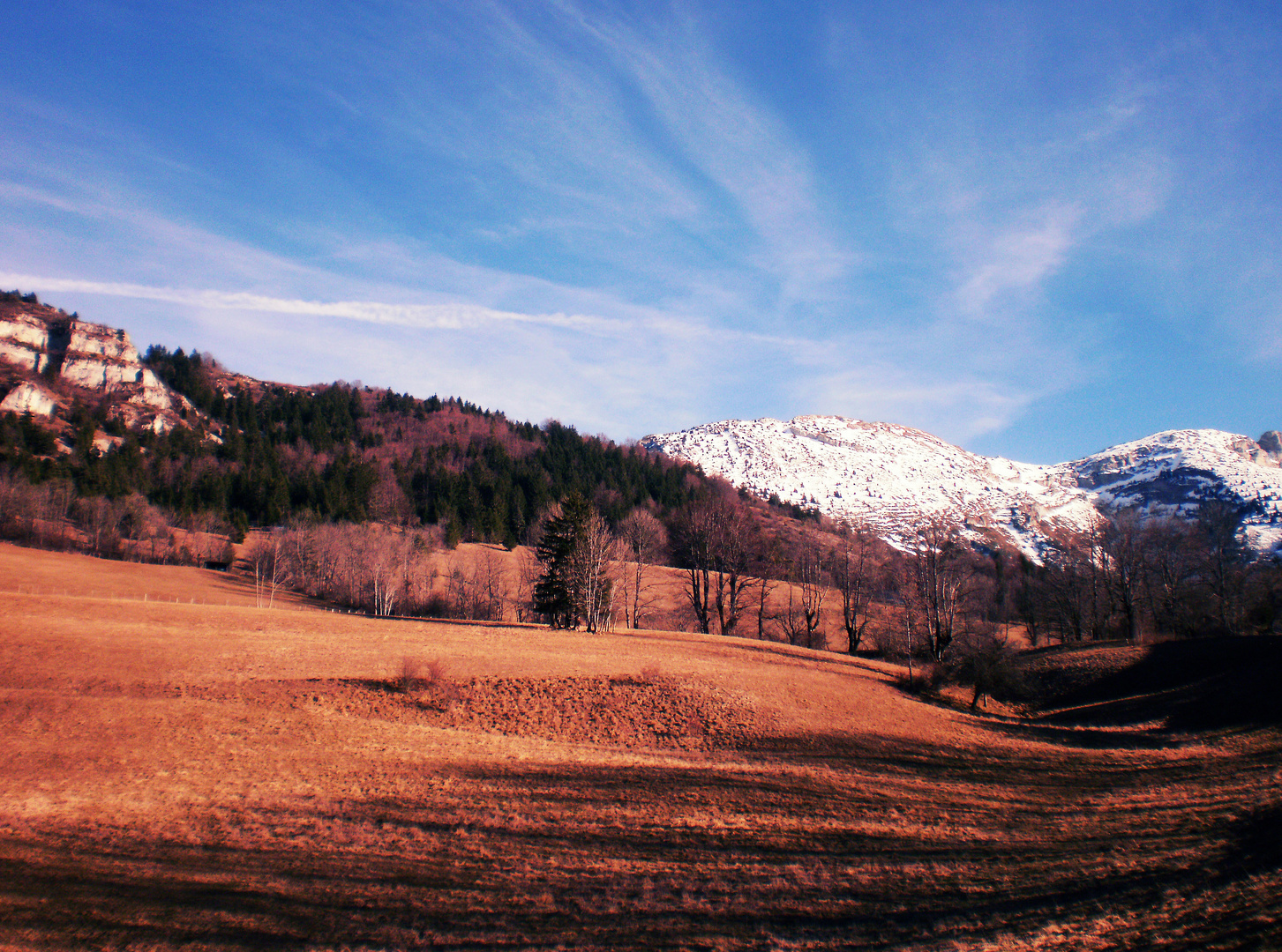 Vercors