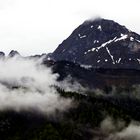 Vercors brumeux