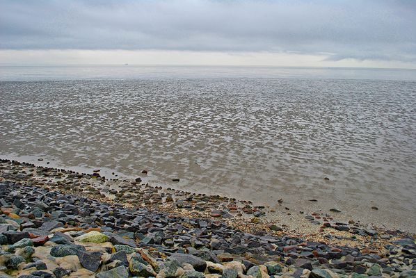 Verdammt viel Watt...