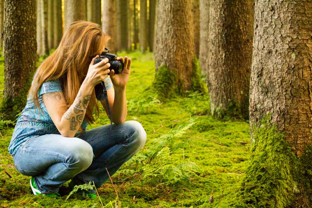 Verdammte Fotografen im Wald ...