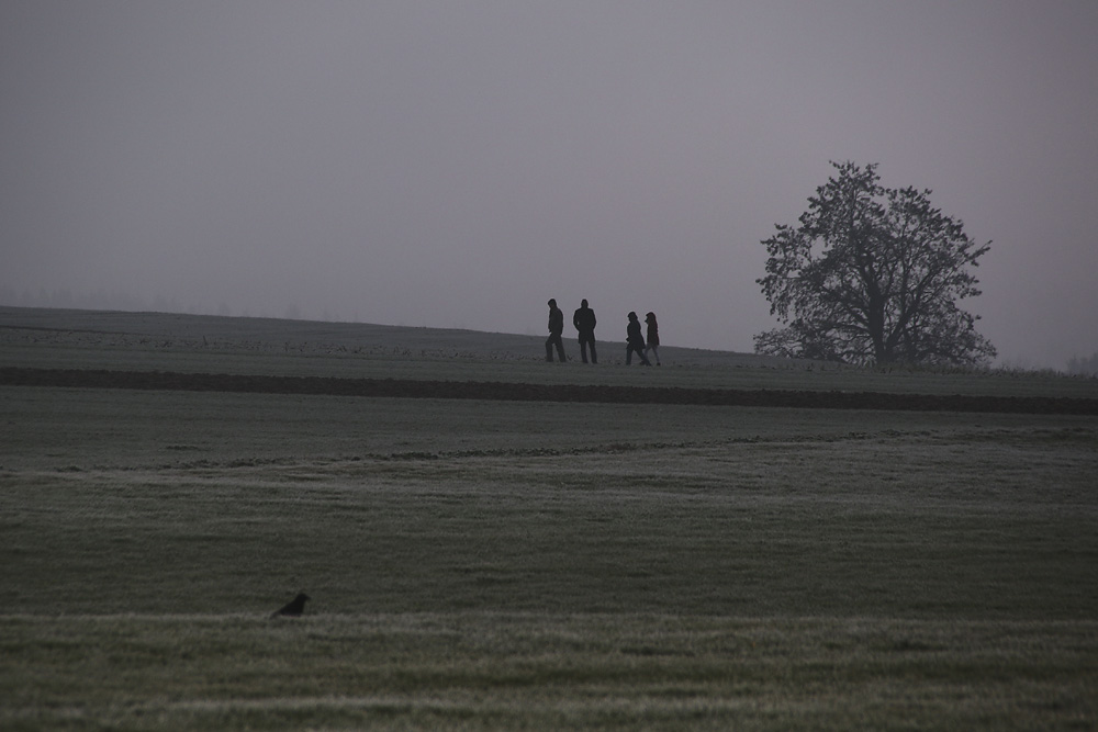 Verdauungsspaziergang ???