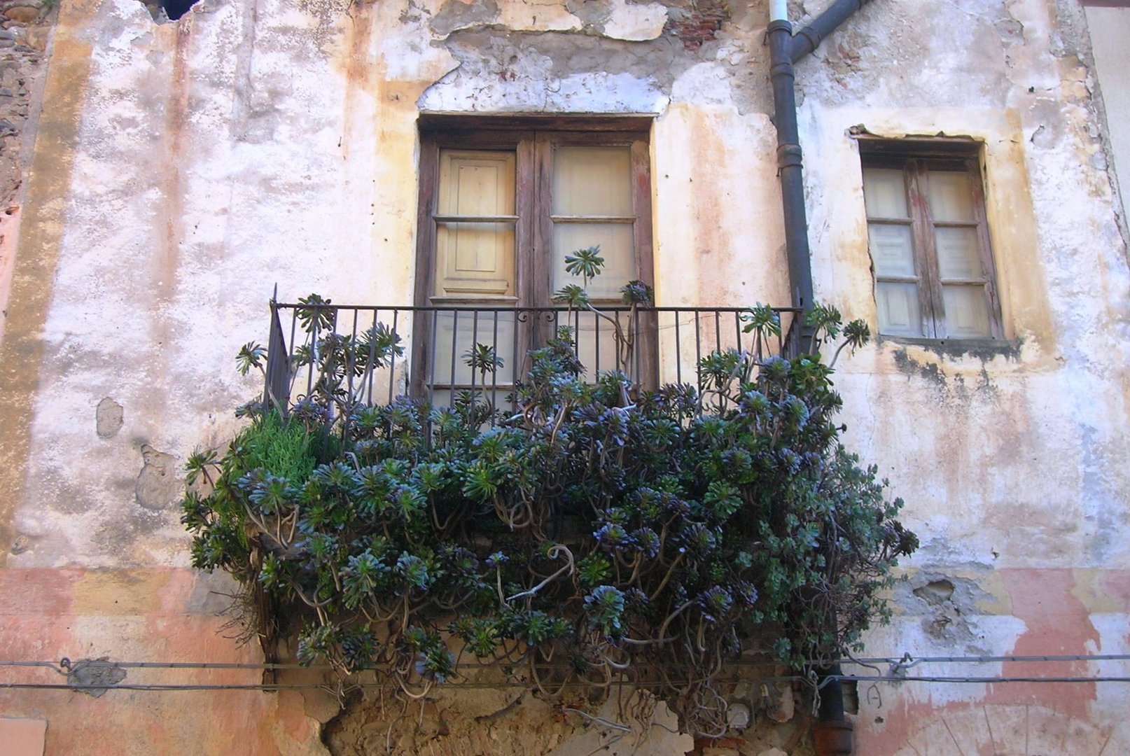 Verde al balcone