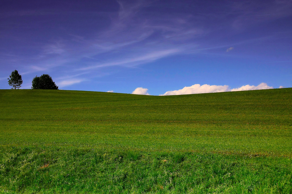 verde bianco e blu!