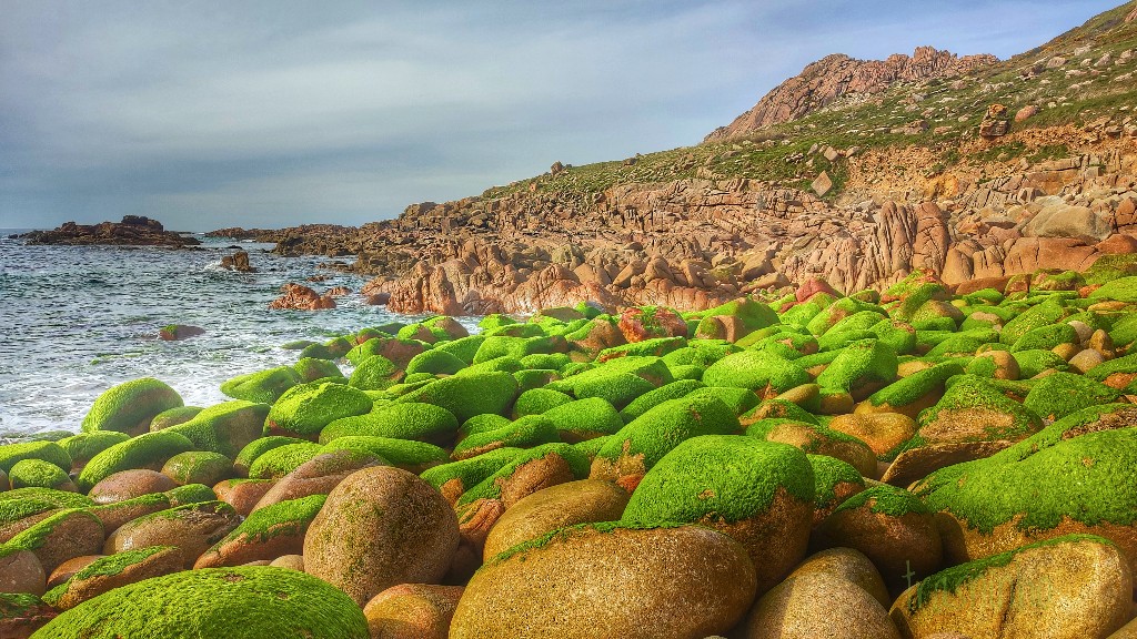 Verde da baixamar.