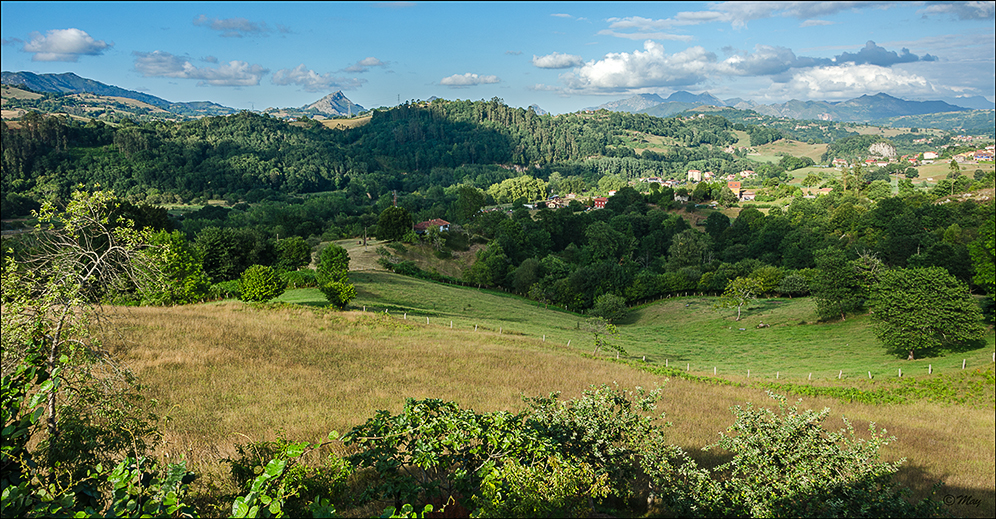 Verde de montes...