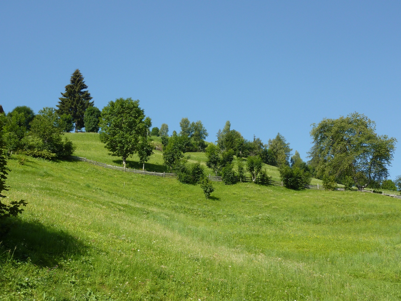 Verde e Azzurro