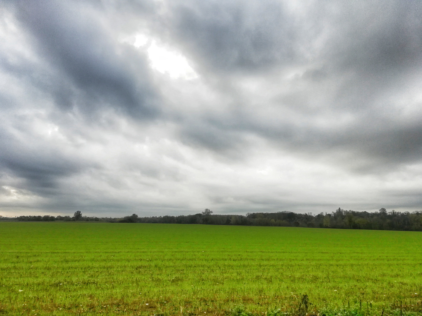 Verde e grigio