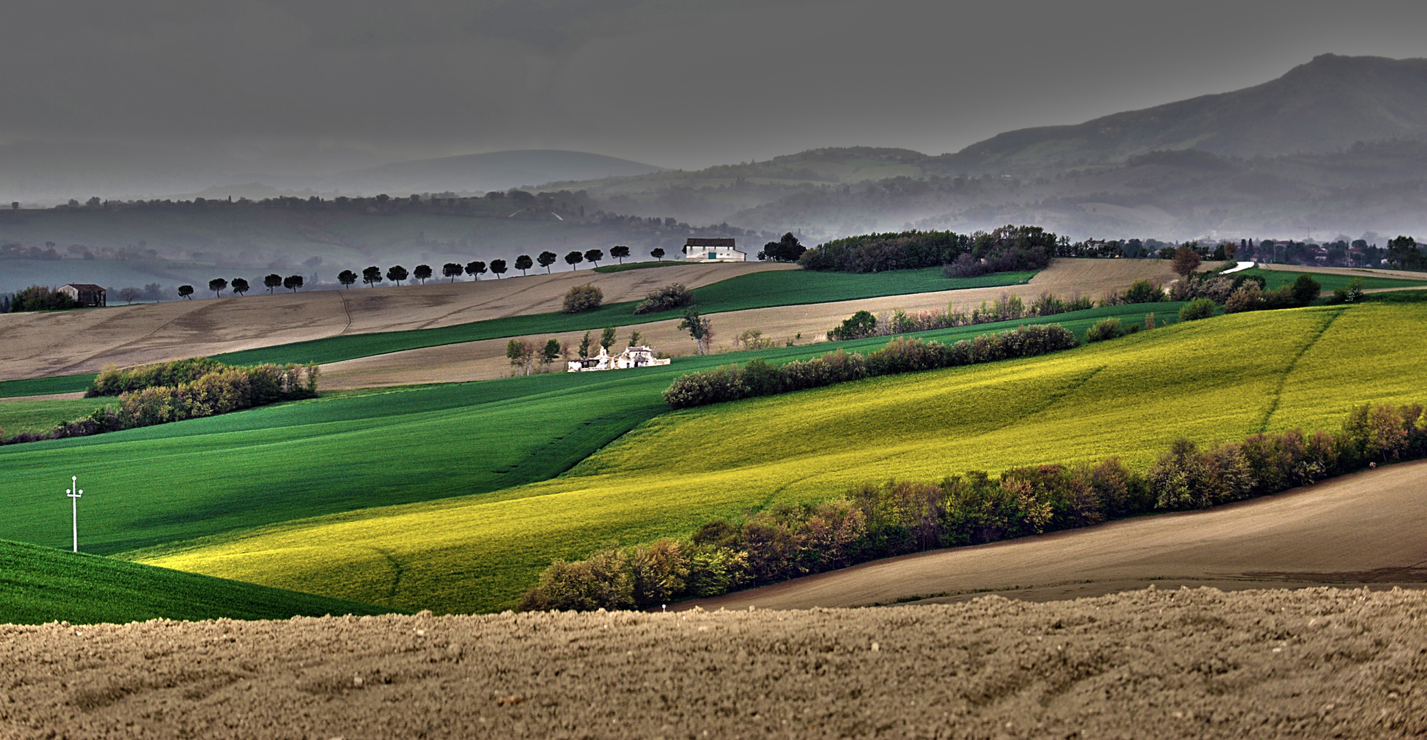 Verde e grigio