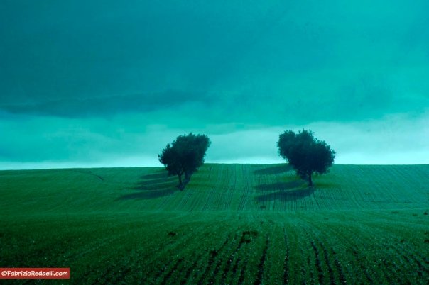 Verde e silenzio