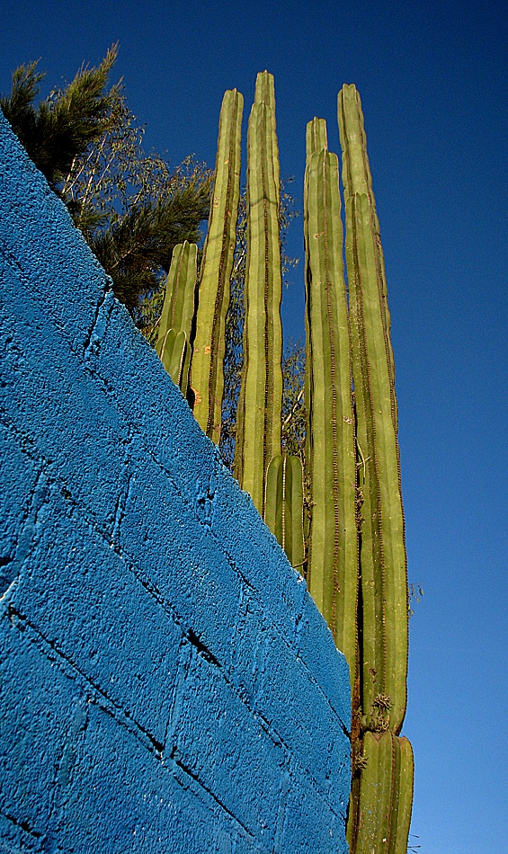 Verde en Azul