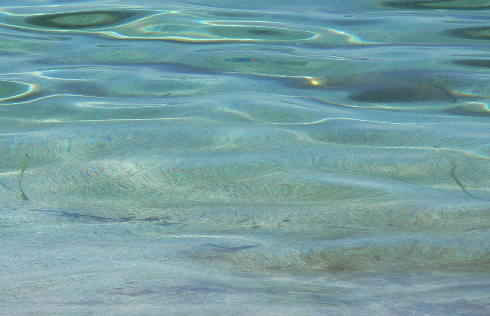 verde in trasparenza