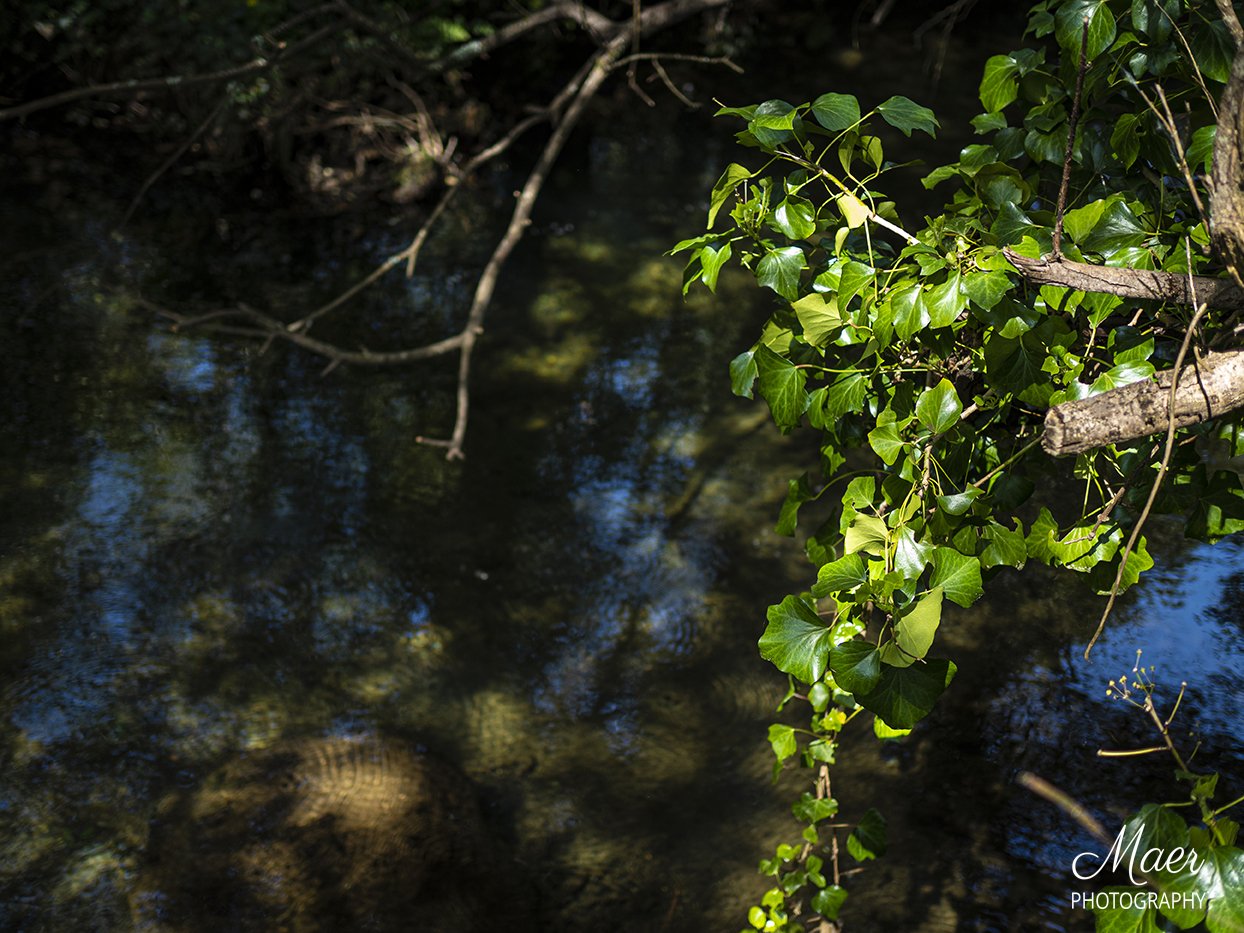 Verde primavera.