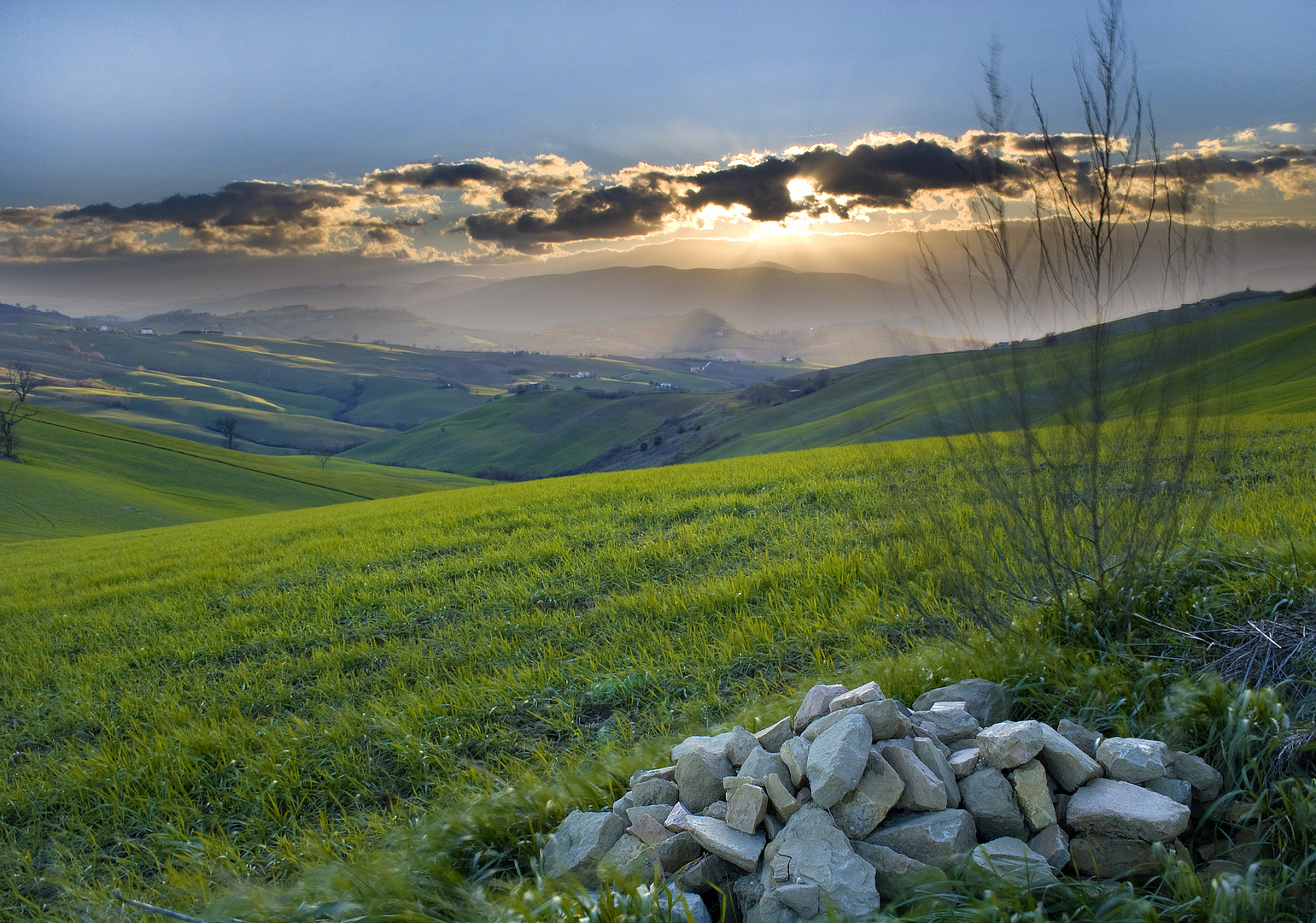 Verde respiro (colline marchigiane)